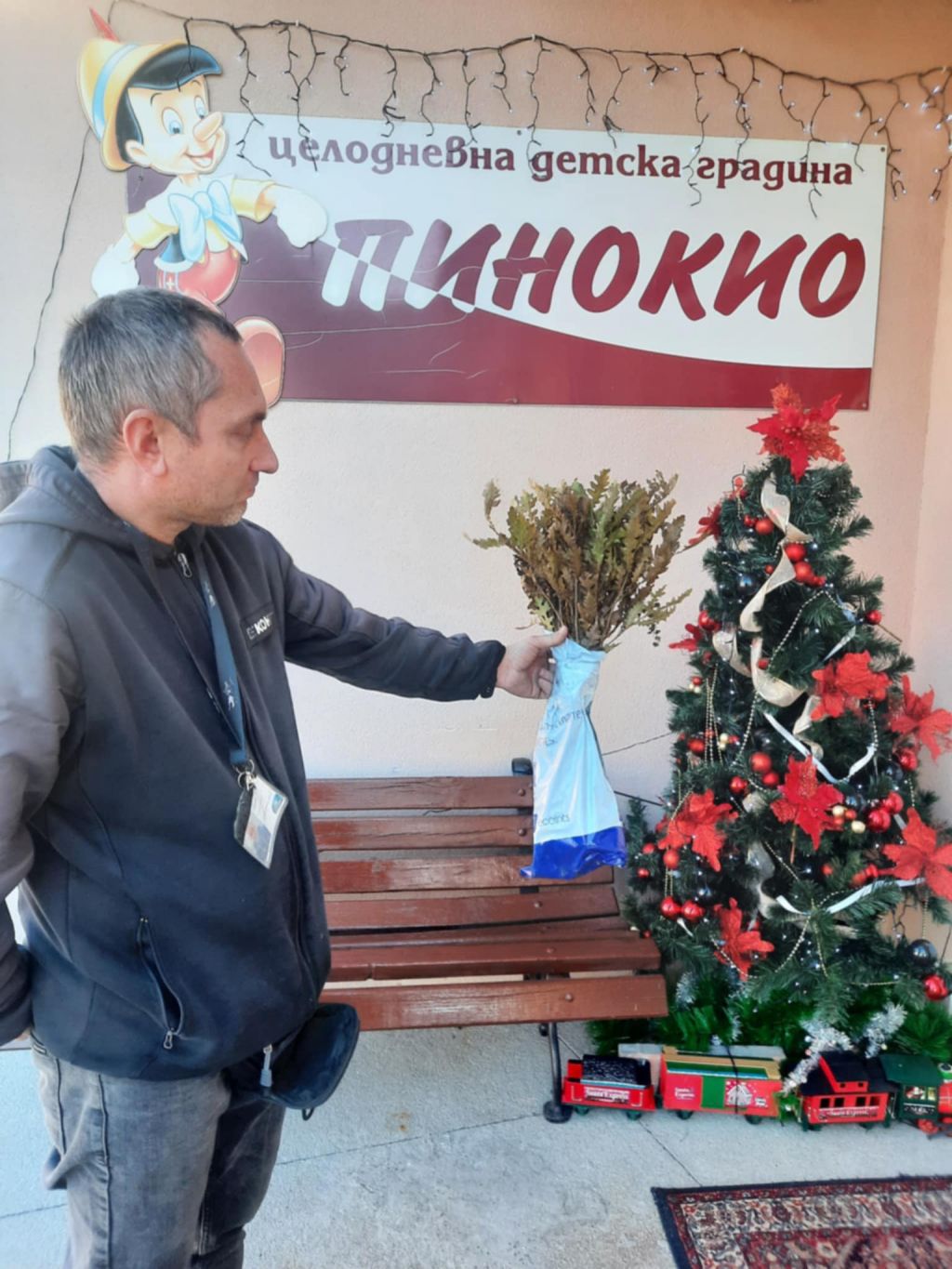 Гората бг - голяма снимка